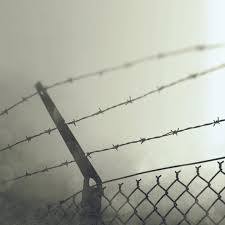 Stiahni si Hudba AVIO - 4G