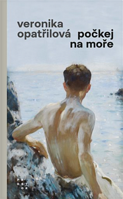 Stiahni si Mluvené slovo Opatrilova Veronika - Pockej na more (Daniel Krejcik @ Klara Pltova)2023(12h40m)=87%