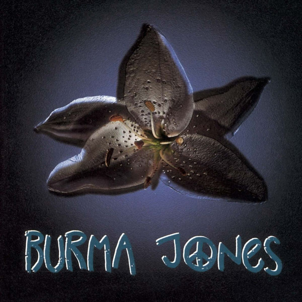 Stiahni si Hudba Burma Jones - Burma Jones (1995)