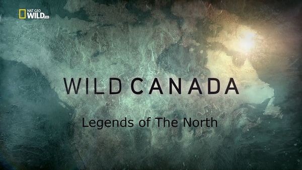 Stiahni si Dokument Divoka Kanada - Legendy severu / Wild Canada: Legends of The North (2017)(CZ)[TvRip][1080p]