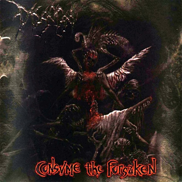 Stiahni si Hudba Disgorge - Consume The Forsaken (2002)