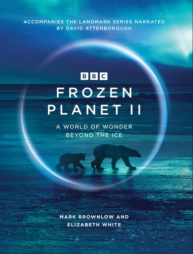 Stiahni si Dokument Zmrzlá planeta / Frozen Planet 2. serie (2022)(CZ/EN)[2160p][HDR10][HEVC] = CSFD 92%