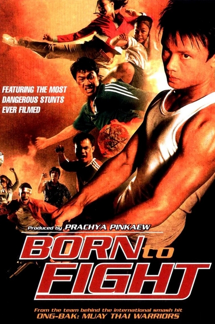 Zrozen k boji / Kerd ma lui / Born to Fight (2004)(CZ) [DVDRip][720p] = CSFD 58%