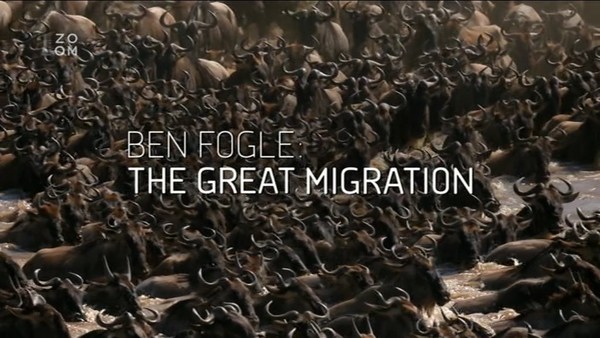 Stiahni si Dokument Tajemstvi velke migrace / Ben Fogle: The Great African Migration (CZ)(2016)[TvRip]