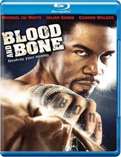 Stiahni si Filmy CZ/SK dabing Blood and Bone (2009)(CZ)[1080p] = CSFD 71%