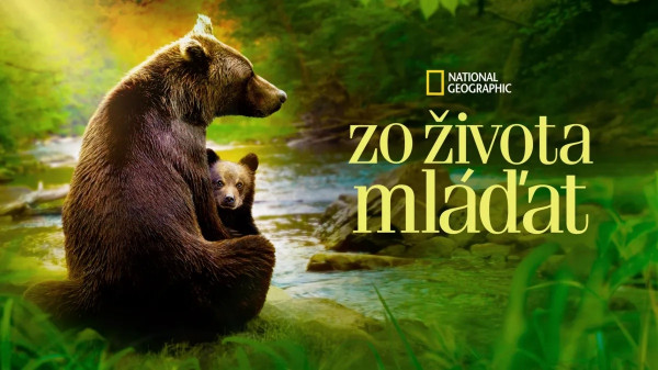 Stiahni si Dokument Zo života mláďat / Growing Up Animal 1. serie (2021)(CZ/SK/EN)[2160p][WEB-DL][HDR10][HEVC] = CSFD 87%