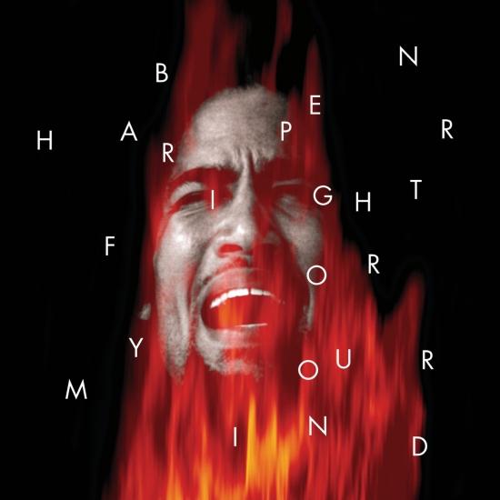 Stiahni si Hudba Ben Harper - Fight For Your Mind (Remaster)(1995)[FLAC]