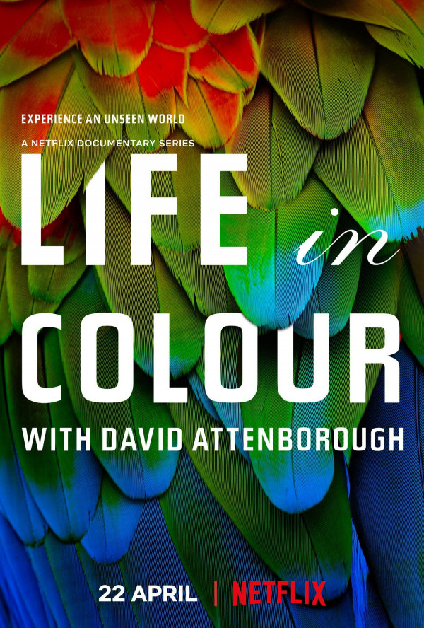 Stiahni si Dokument Zivot v barve s Davidem Attenboroughem / Life in Colour (2021)[4K HDR] = CSFD 88%