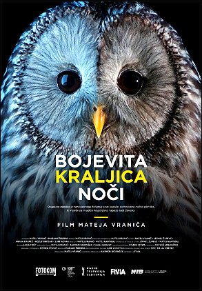 Stiahni si Dokument Puštík - neohrožený vládce noci / Bojevita kraljica noči (2024)(CZ)[TvRip][1080p] = CSFD 50%