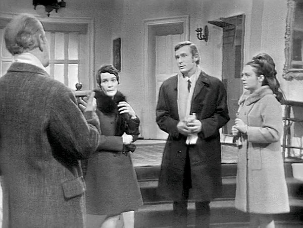 Stiahni si Seriál Blizni na tapete r.1969-1974 (13-dielny, 1080p , CZ)