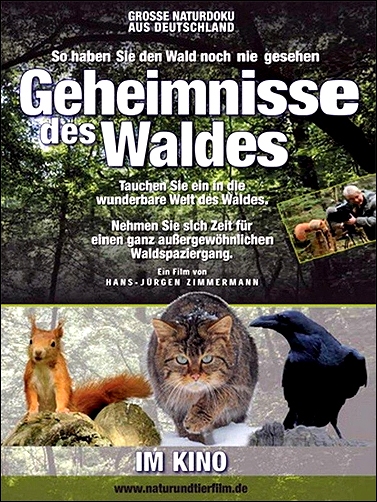 Stiahni si Dokument Tajemství lesa / Geheimnisse des Waldes (2010)(CZ)[TvRip][SD] = CSFD 87%