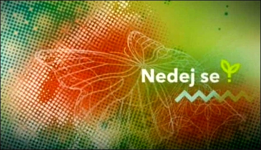 Stiahni si Dokument Nedej se! - Zoufalé volání sýčka (2018)(CZ)[TvRip][1080p] = CSFD 71%