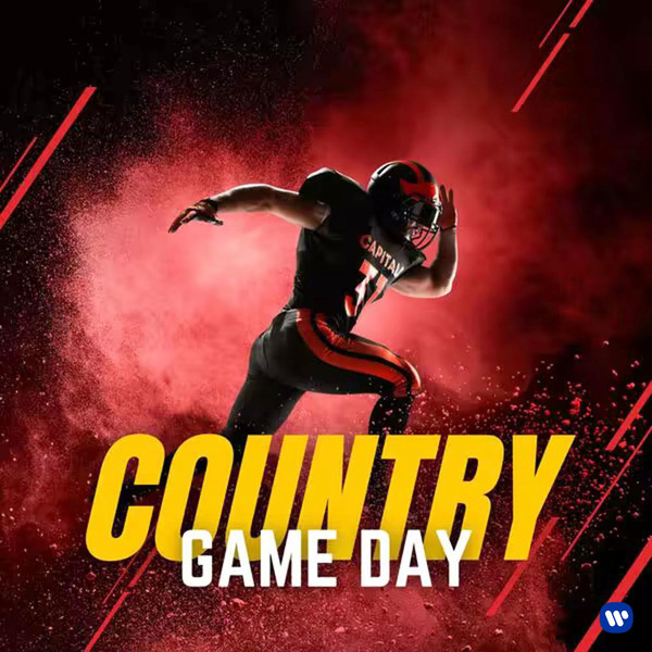 Stiahni si Hudba VA - Country Game Day (2025)[FLAC]