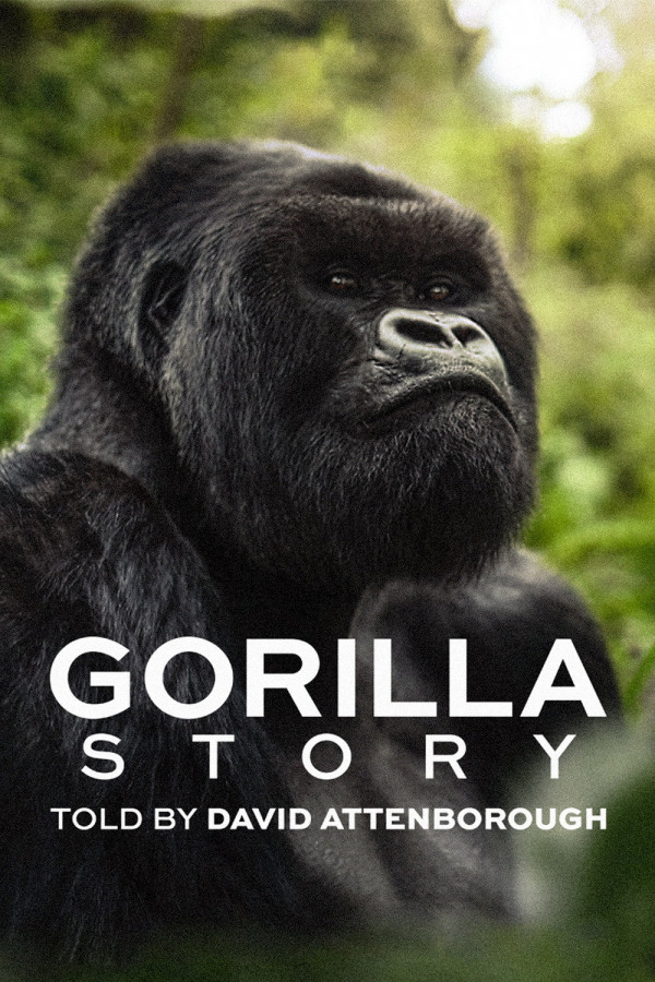 Stiahni si Dokument David Attenborough: Gorilí příběh / A Gorilla Story: Told by David Attenborough (2026)(CZ/EN)[WEB-DL][1080p][DV] = CSFD 90%
