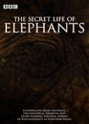 Stiahni si Dokument Tajemstvi slonu / The Secret Life of Elephants (CZ)(2008)[TvRip] = CSFD 83%