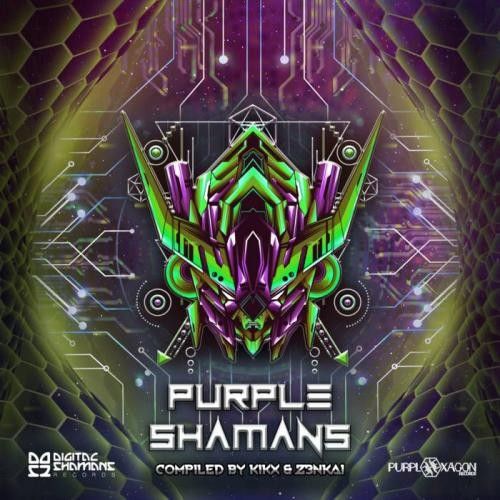Stiahni si Hudba VA - Purple Shamans [320kbps] MP3 (2020)