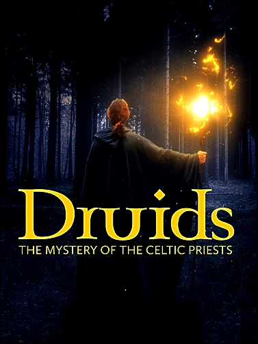 Stiahni si Dokument Druidové: Záhada keltských kněží / Die Druiden - Mächtige Priester der Kelten (2020)(CZ)[1080p][TvRip] = CSFD 65%