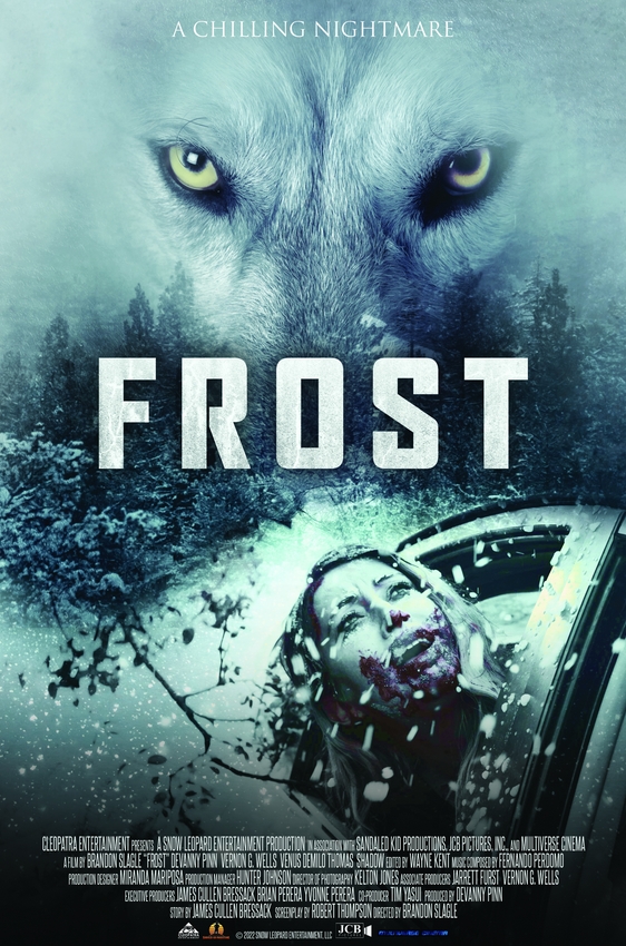 Stiahni si Filmy s titulkama Frost (2022)[WebRip][720p][HEVC] = CSFD 42%