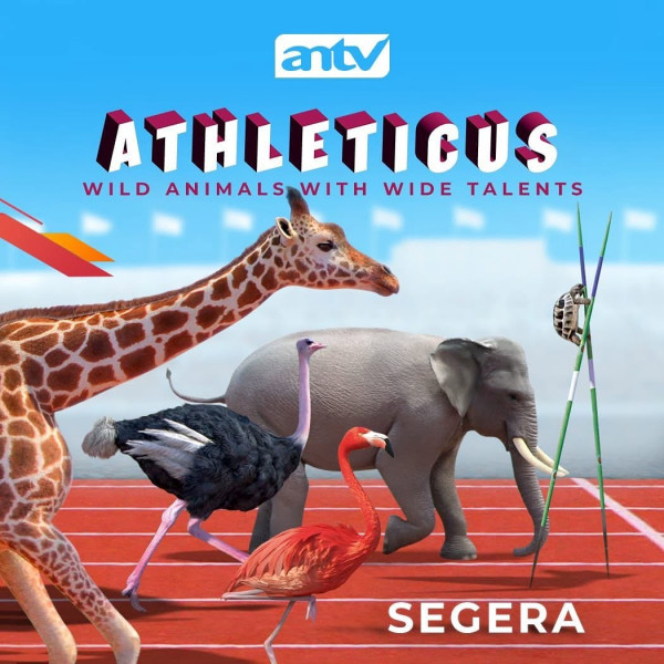 Stiahni si Seriál Athleticus / Sportující zvířata (2018) = CSFD 68%