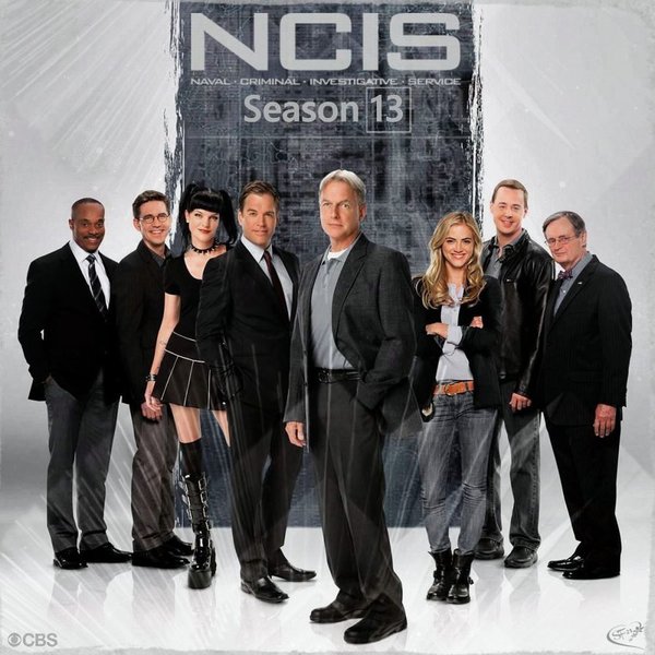 Stiahni si Seriál Namorni vysetrovaci sluzba / NCIS: Naval Criminal Investigative Service - 13. serie (CZ) = CSFD 72%