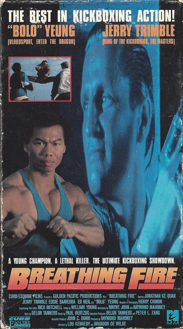 Stiahni si Filmy CZ/SK dabing Krvaví bratři / reathing Fire (1991)(CZ)[VHSRip]