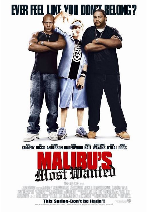 Stiahni si Filmy CZ/SK dabing Nejhledanější v Malibu /  Malibu's Most Wanted (2003)(CZ)[1080p] = CSFD 32%
