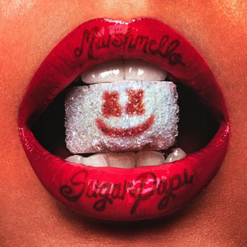 Stiahni si Hudba DJ's Mix Marshmello - Sugar Papi (2023) [24Bit-44.1kHz] FLAC 