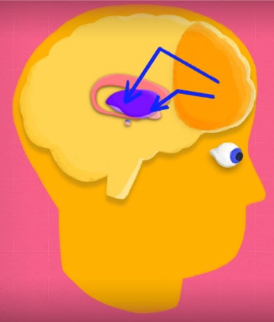 Stiahni si TV Pořad Dopamin: Jak aplikace klamou náš mozek / Dopamine, comment les applis piègent notre cerveau (2023)(CS/FR)[1080p] = CSFD 69%