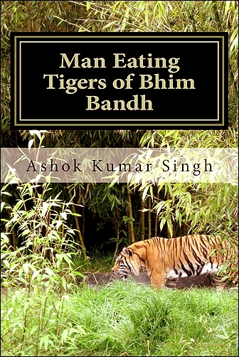 Stiahni si Dokument Svět přírody - Tygří ostrov / Man-eating Tigers of Sumatra: Tiger Island (2012)(CZ/EN)[TvRip][1080p] = CSFD 76%