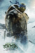 Stiahni si Ostatní Zelvy Ninja / Teenage Mutant Ninja Turtles (2014) - CZ titulky