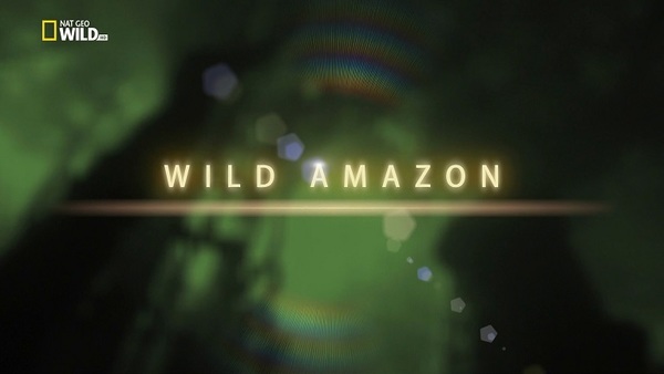 Stiahni si Dokument Divoka Amazonie / Wild Amazon E01-E02 (2010)(CZ)[TvRip][1080p] = CSFD 82%