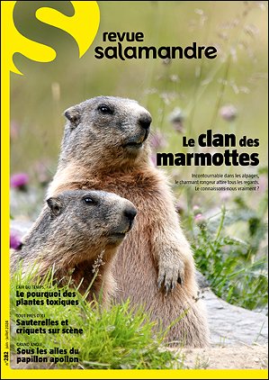 Stiahni si Dokument Život svišťů / Le clan des marmottes (2021)(CZ)[TvRip][1080p] = CSFD 50%