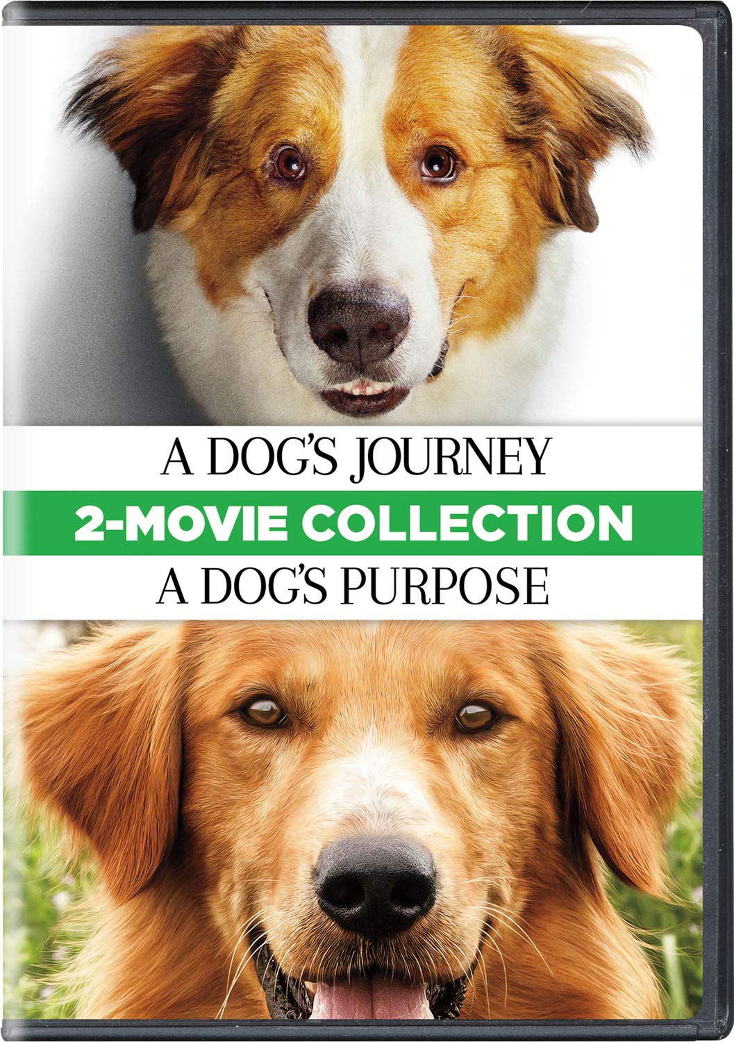 Stiahni si HD Filmy Psi poslani 1, 2/A Dog's Purpose/A Dog's Journey (2017, 2019)(CZ/ENG) [1080p] = CSFD 81%