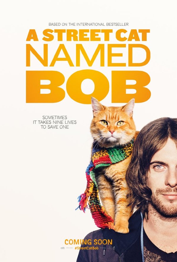 Stiahni si Filmy s titulkama A Street Cat Named Bob (2016)[WebRip] = CSFD 83%