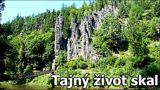 Stiahni si Dokument Tajný život skal (2015)(CZ)[TvRip][1080p] = CSFD 88%