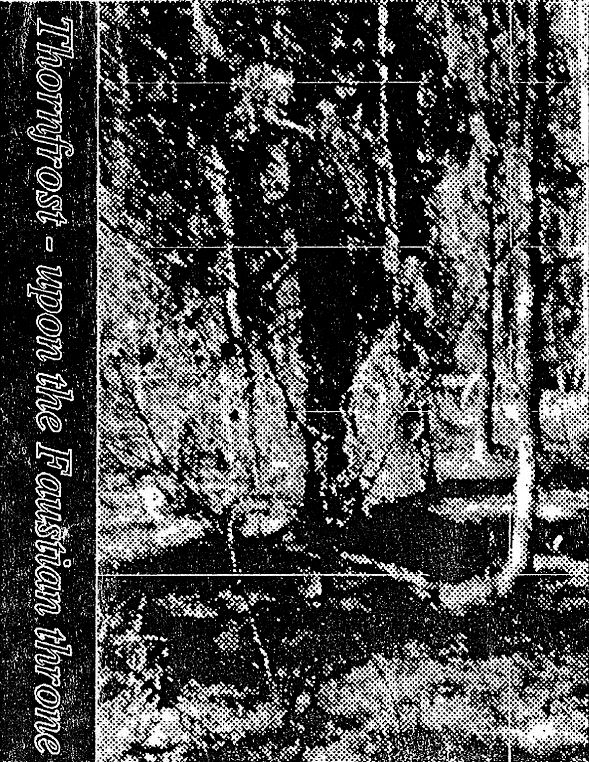 Stiahni si Hudba Thornfrost - Upon The Faustian Throne (DEMO)(1997)