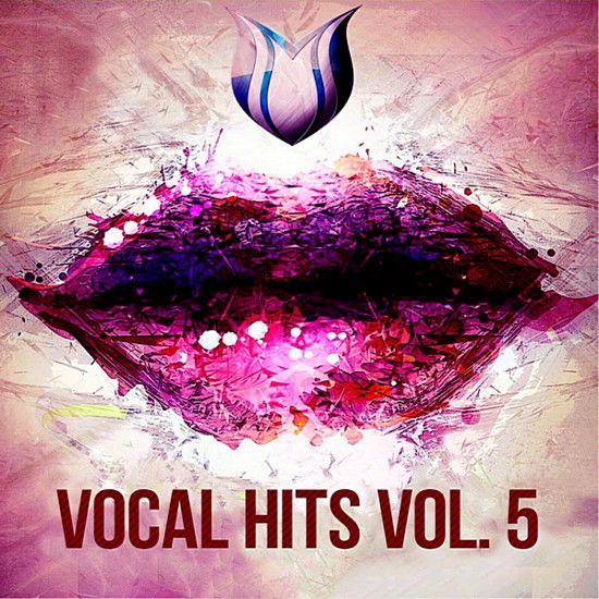 Stiahni si Hudba VA - Vocal Hits Vol.5 (2020) MP3  [320 kbps]