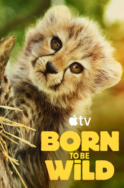 Stiahni si Dokument Návrat do divočiny / Born to Be Wild 1. serie (2025)[1080p][WEB-DL] = CSFD 50%