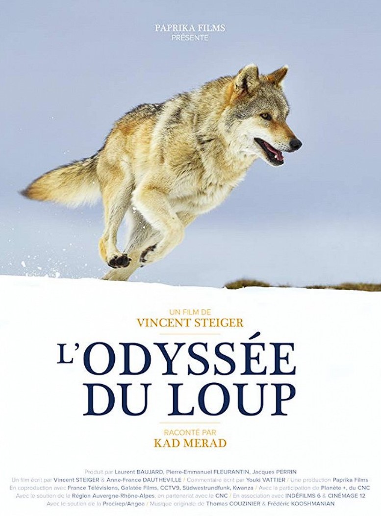 Cesta vlka / L'Odyssée du Loup (2019)(SK)[1080p] SK - RTVS RIP  = CSFD 84%