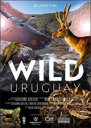 Stiahni si Dokument Divoká Uruguay / Wild Uruguay (2020)(CZ)[TvRip][1080p] = CSFD 81%