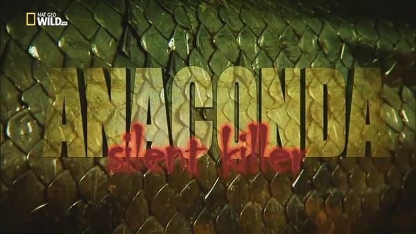 Stiahni si Dokument Anakonda - tichy zabijak / Anaconda: Silent Killer (2014)(CZ)[TvRip][1080p] = CSFD 84%