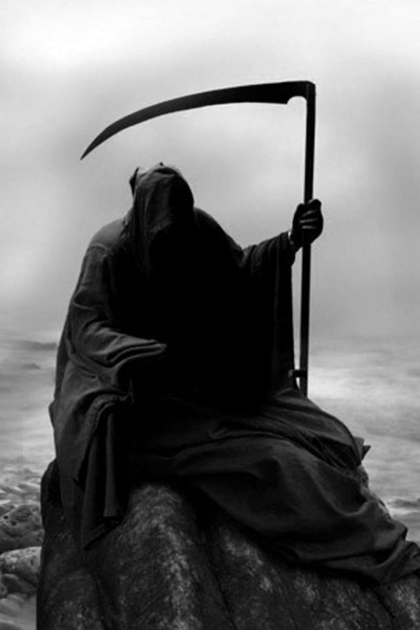 Stiahni si Ostatní Tvoj čínsky dedo 1&2 _2025 / V poslednej chvíli.