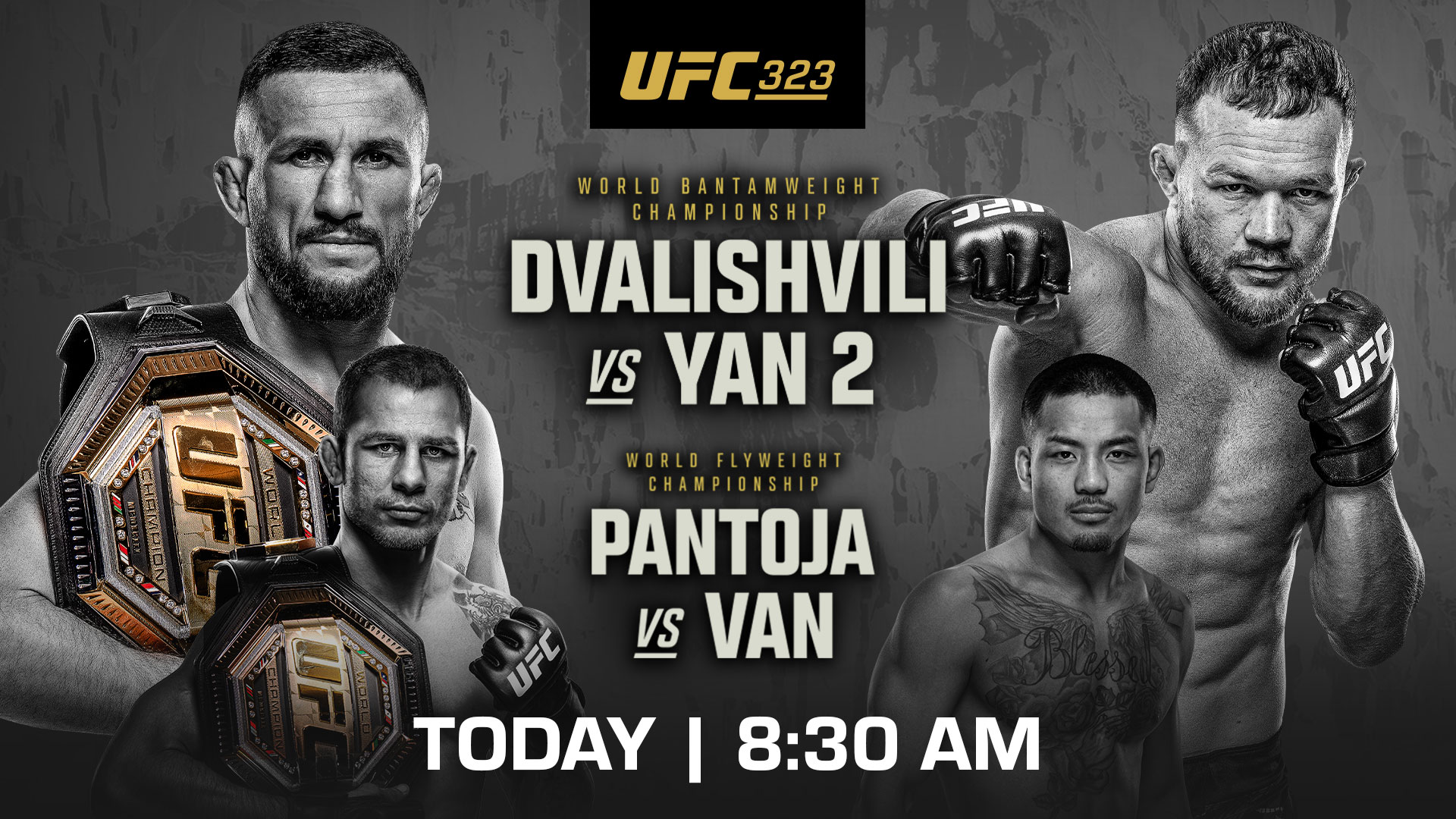 Stiahni si Sport UFC 323: Dvalishvili vs Yan 2