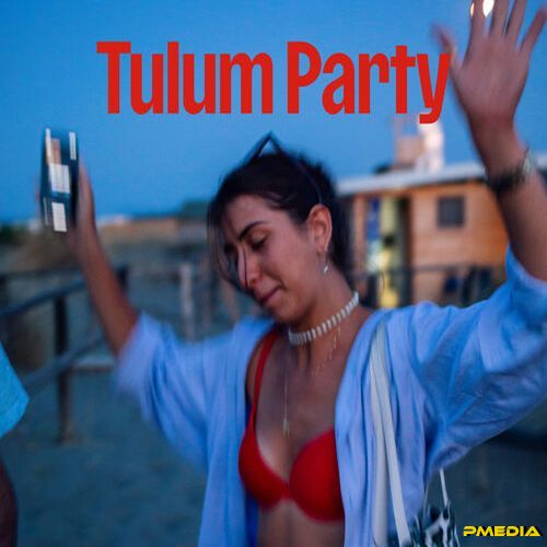 Stiahni si Hudba VA - Tulum Party (2024)