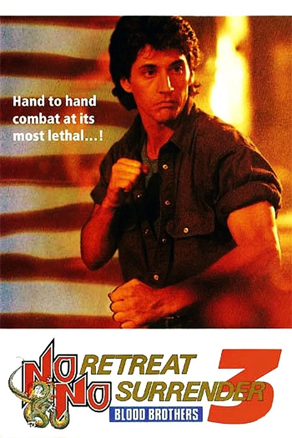 Stiahni si Filmy CZ/SK dabing Karate tiger 3: Pokrevní bratři / No Retreat, No Surrender 3: Blood Brothers (1990)(CZ/EN)[1080p][HEVC] = CSFD 50%