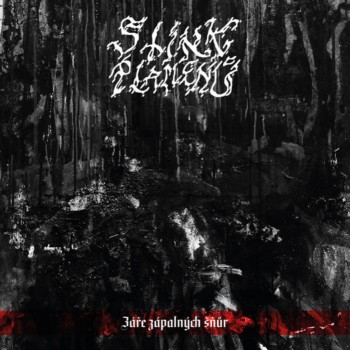 Stiahni si Hudba Stiny Plamenu - Zare zapalnych snur (2020)