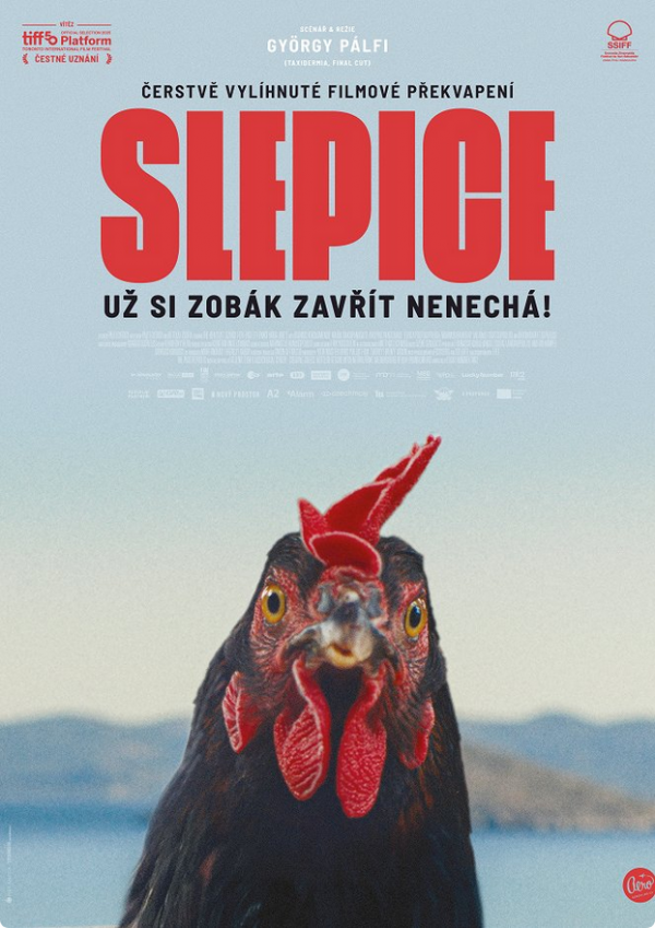 Stiahni si Filmy s titulkama Slepice / Hen (2025)(GR)[1080p][WEB-DL] = CSFD 70%