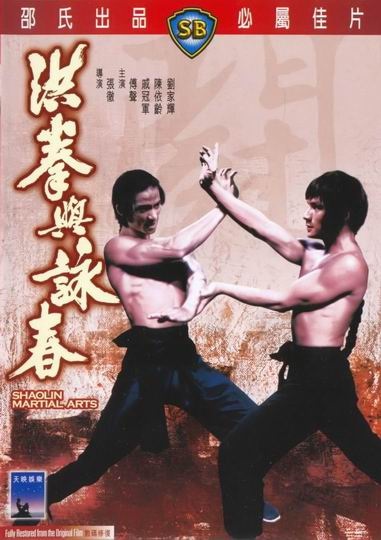 Stiahni si Filmy CZ/SK dabing Saolin: Skola bojovych umeni / Hong quan yu yong chun (1974)(CZ) = CSFD 71%