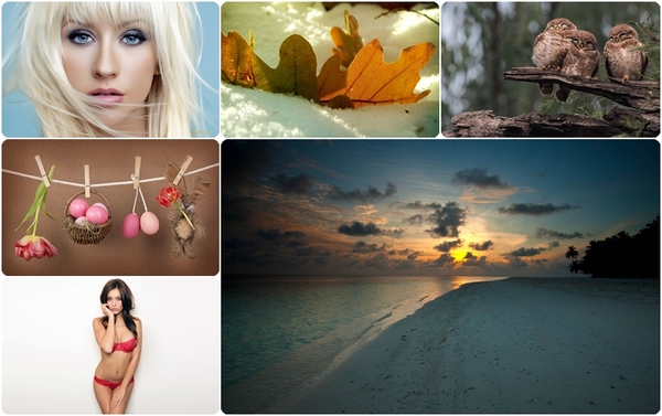 Stiahni si Ostatní TOP Tapety ( Kolekce 310 )