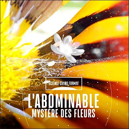 Stiahni si Dokument Síla rostlin – tajemný dobyvatel / L'Abominable mystère des fleurs (2022)(CZ)[TvRip][1080p] = CSFD 78%